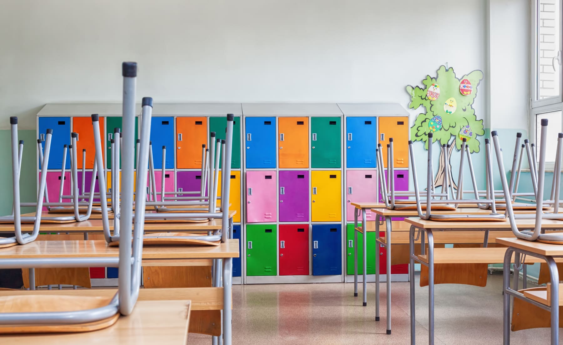 kwaliteitszorg en schoolontwikkeling basisonderwijs 